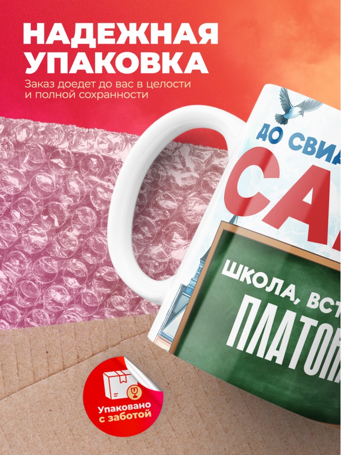 Кружка школа встречай Платона  Саратов