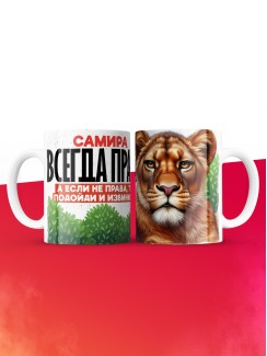 Кружка Самира всегда права