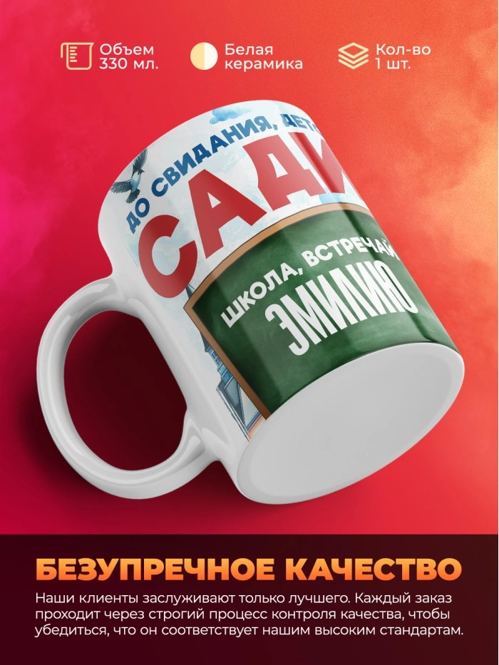 Кружка школа встречай Эмилию  Саратов