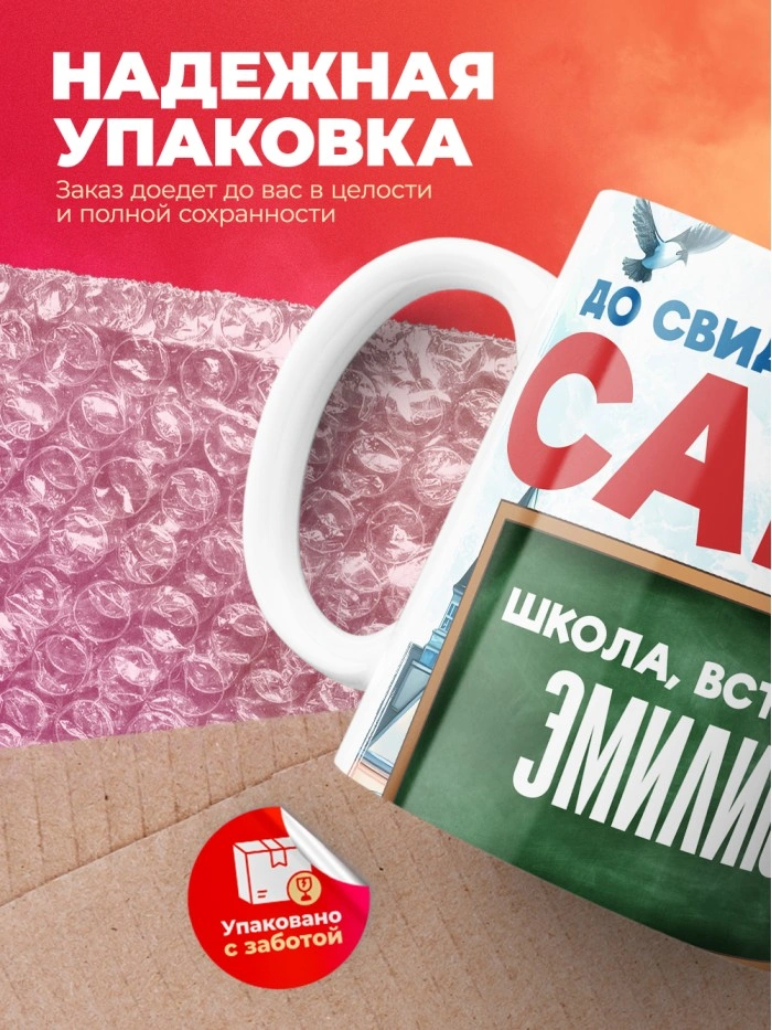Кружка школа встречай Эмилию  Саратов