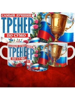 Кружка с принтом: Самый лучший тренер по По Сумо, белая, 330 мл